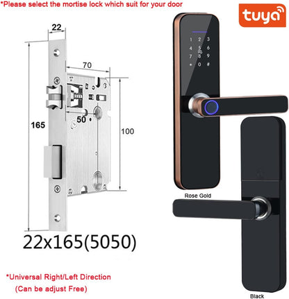 Smart Door Handle Lock