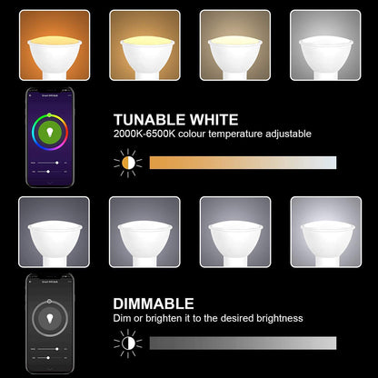 Smart LED Down Light