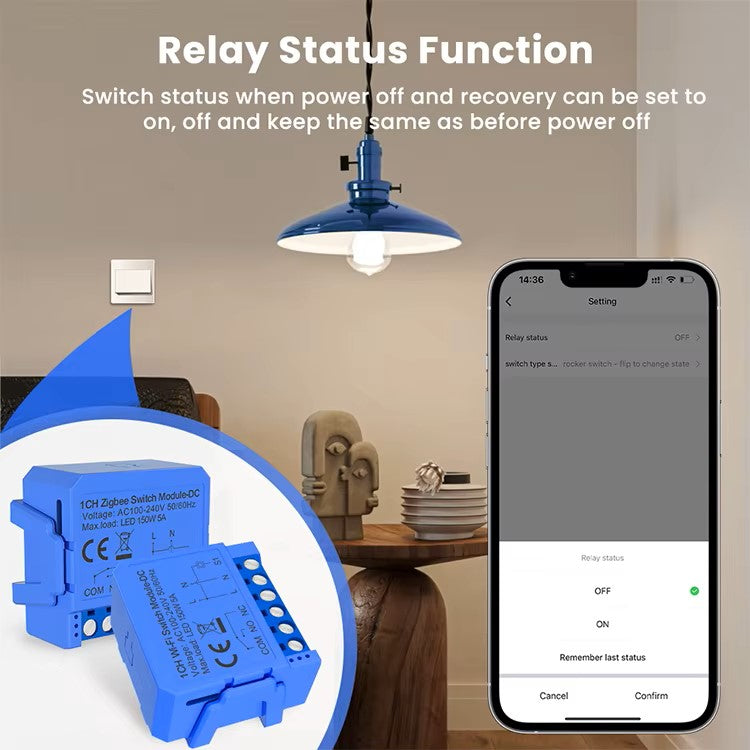 Zigbee/WIFI Smart DIY Switch Module DC