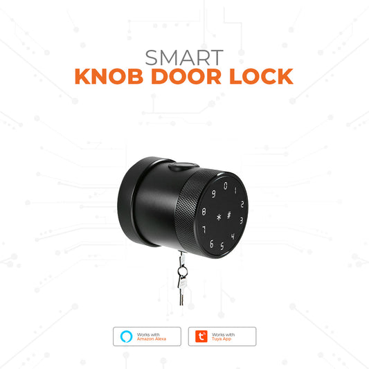 Smart Knob Door Lock